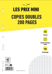 Copies doubles - 200 pages - A4 - grands carreaux (Seyes) - perforées