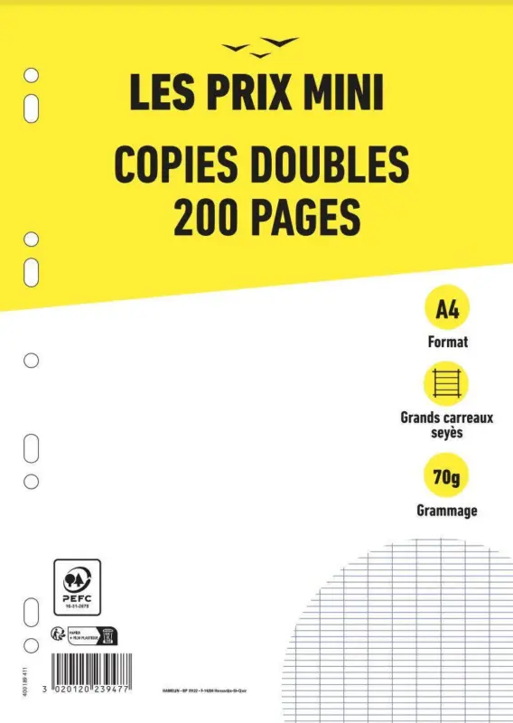 Copies doubles - 200 pages - A4 - grands carreaux (Seyes) - perforées