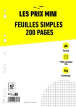 Bureau Vallée Feuilles simples A4 - 200 pages - petits carreaux (5x5mm) - perforées - au 27.07.2025