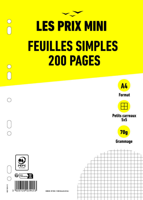 Feuilles simples A4 - 200 pages - petits carreaux (5x5mm) - perforées