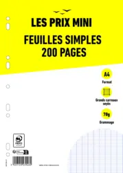 Feuilles simples A4 - 200 pages - grands carreaux (Seyes) - perforées