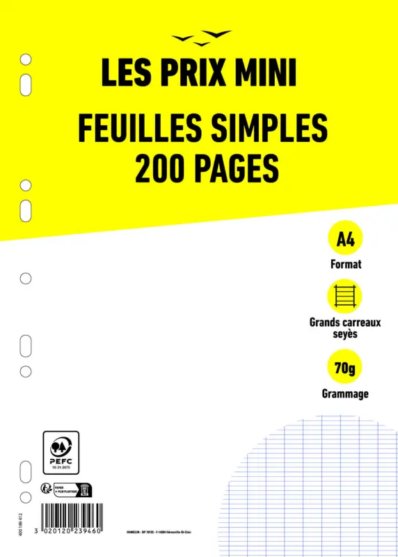 Feuilles simples A4 - 200 pages - grands carreaux (Seyes) - perforées