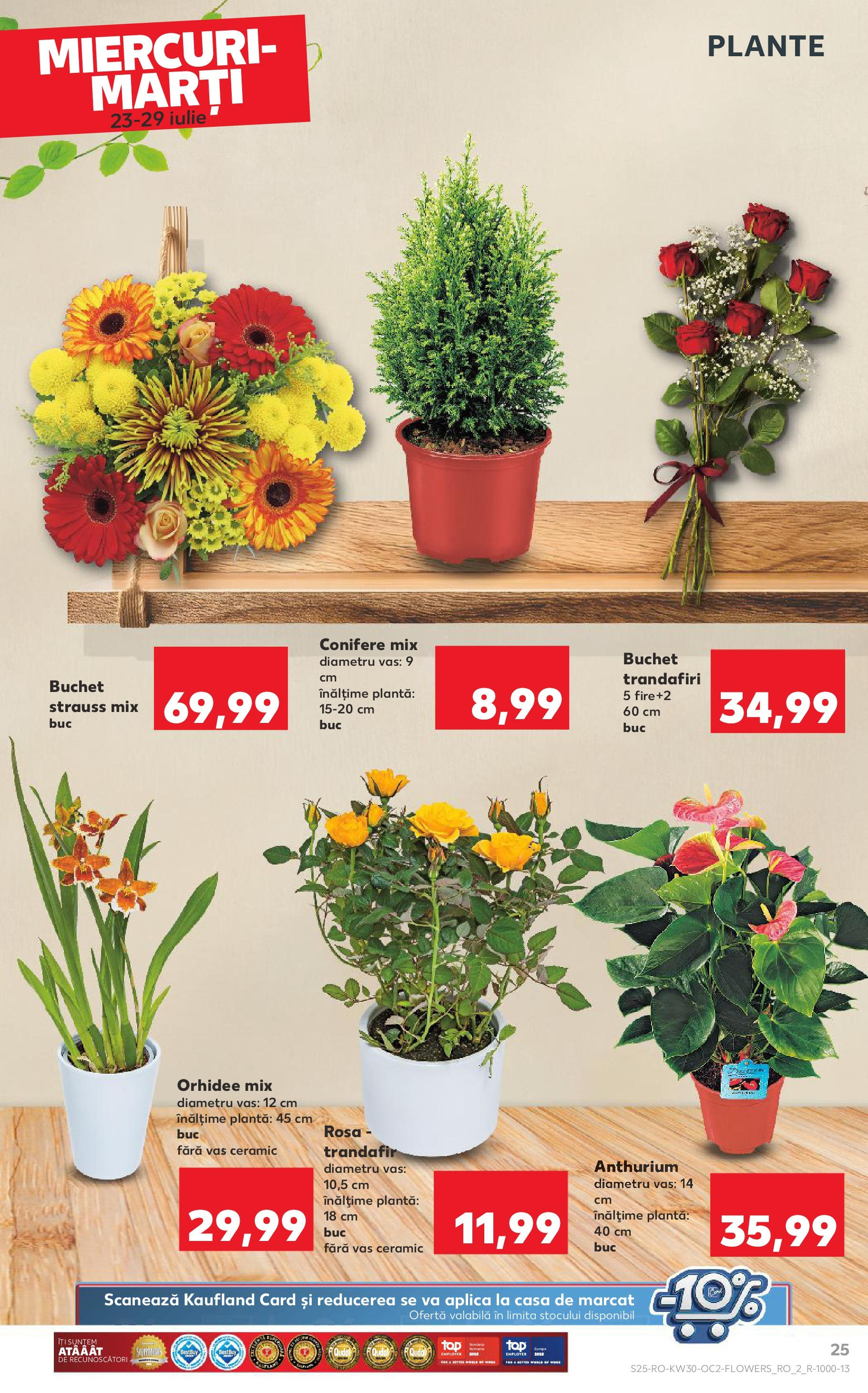 Catalog Kaufland - Galați 22.07.2025 - Revista si Oferta | Pagină: 25 | Produse: Trandafir, Orhidee