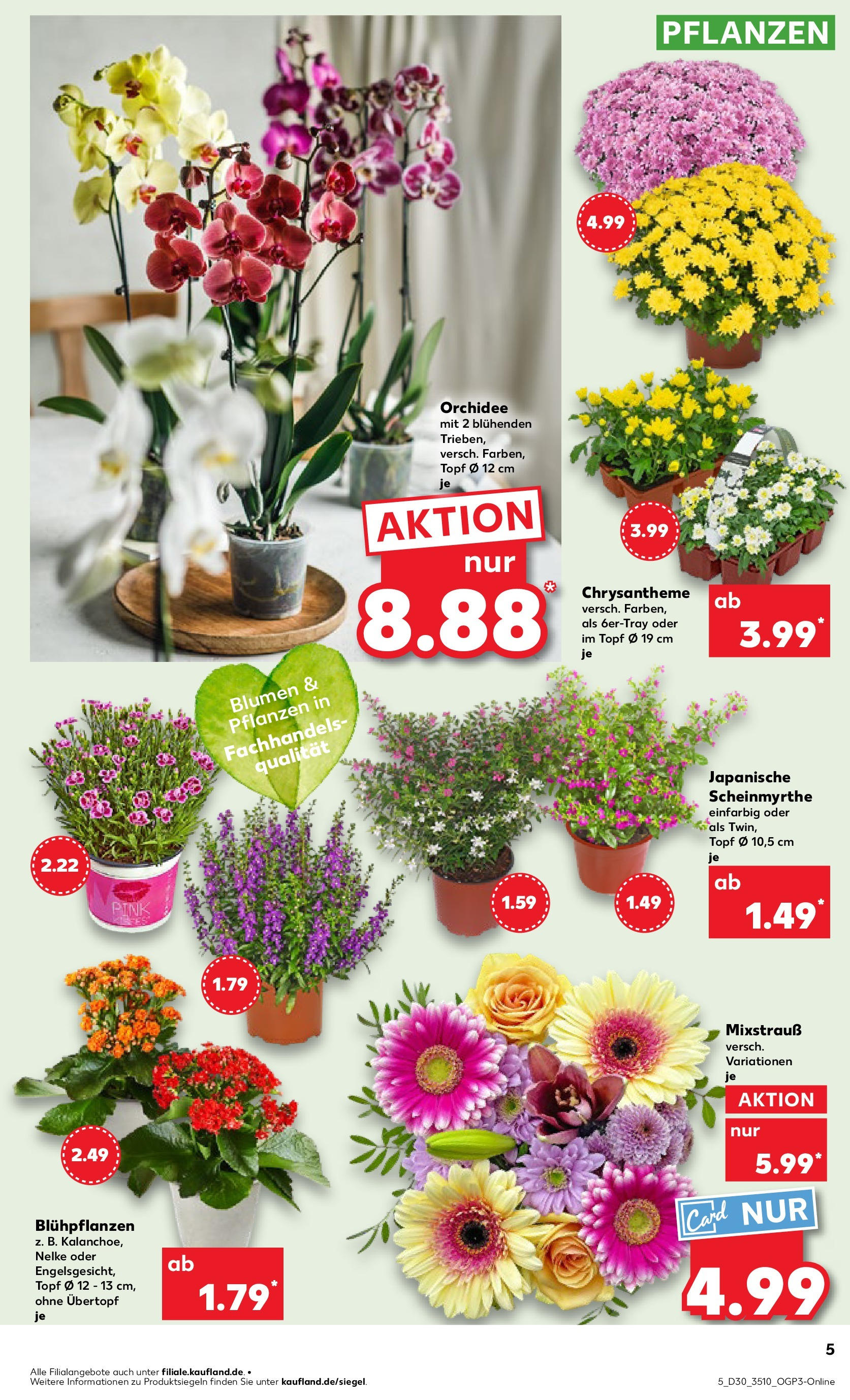 Prospekt Kaufland ab 24.07.2025 » Angebote und Werbung Online | Seite: 5 | Produkte: Orchidee, Blumen Prospekt Kaufland ab 24.07.2025 » Angebote Online zum Blättern | Seite: 5 | Produkte: Orchidee, Blumen