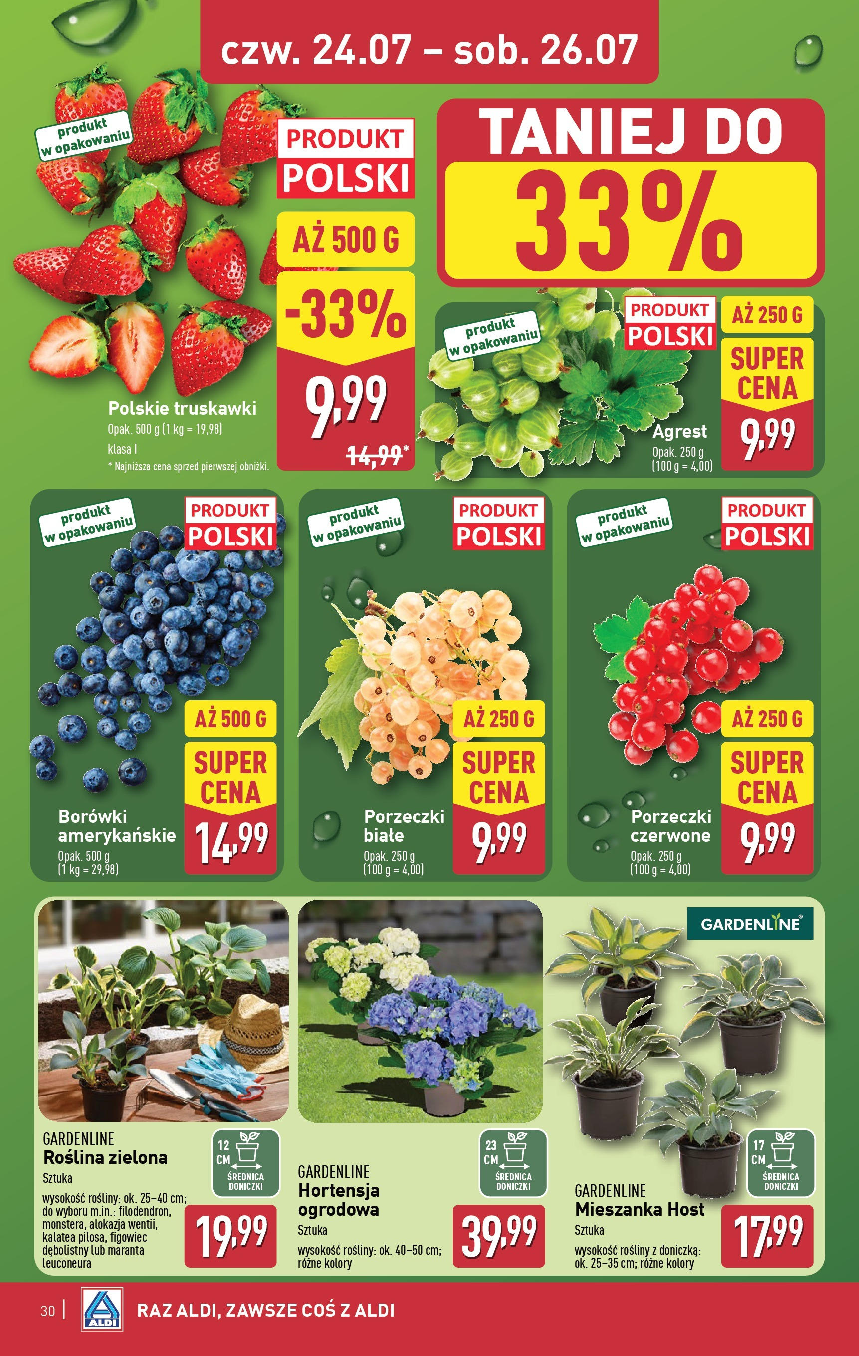 Aldi Gazetka od 21.07.2025 - Ulotka PDF, promocje | Strona: 30 | Produkty: Kalatea, Agrest, Doniczka, Truskawki