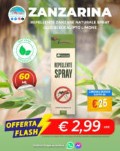 Offerta flash