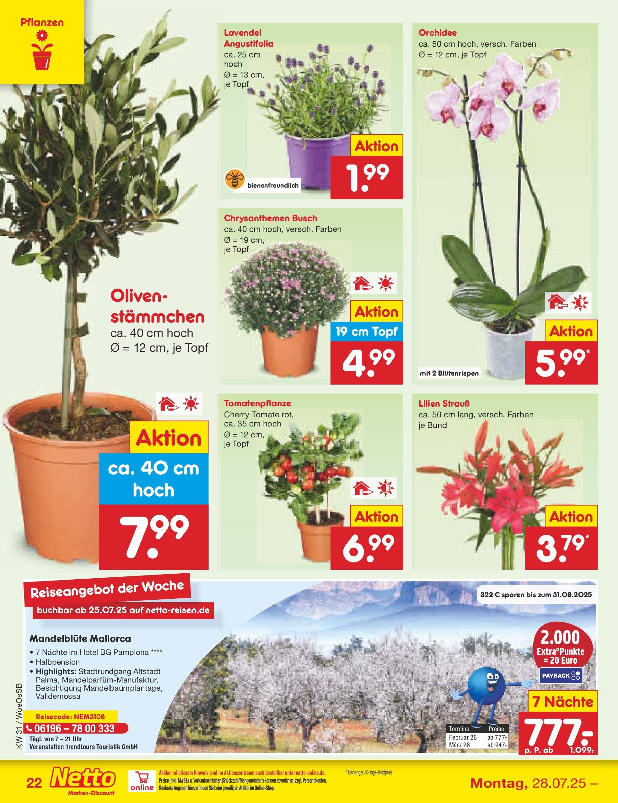 Netto Marken-Discount prospekt Gemmingen	 (ab 27.07.2025) » Angebote | Seite: 40 | Produkte: Orchidee, Lavendel, Uhr