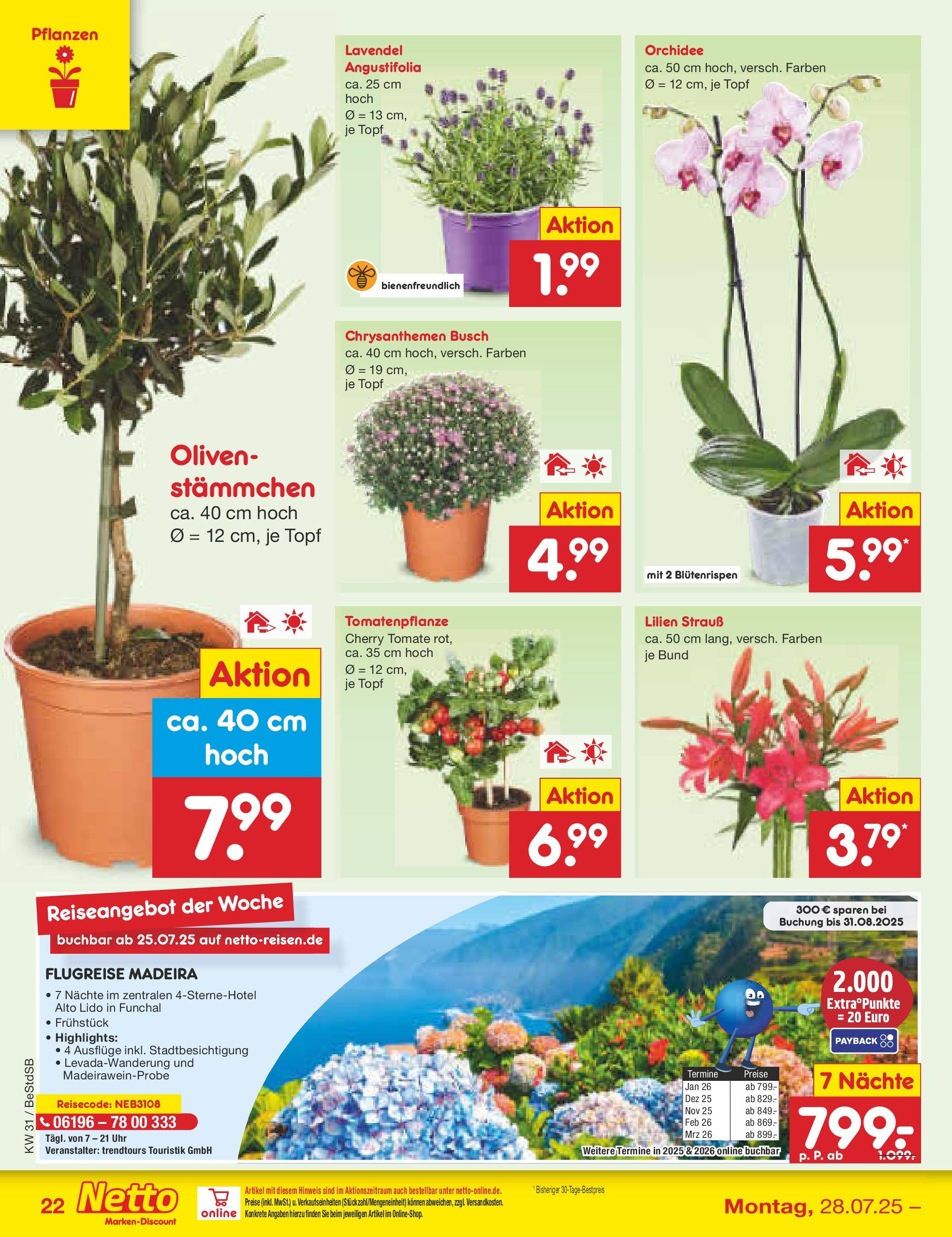 Netto Marken-Discount prospekt Berlin-Spandau (ab 28.07.2025) » Angebote | Seite: 40 | Produkte: Orchidee, Lavendel, Uhr Netto Marken-Discount prospekt Berlin-Spandau (ab 28.07.2025) » Angebote | Seite: 40 | Produkte: Orchidee, Lavendel, Uhr