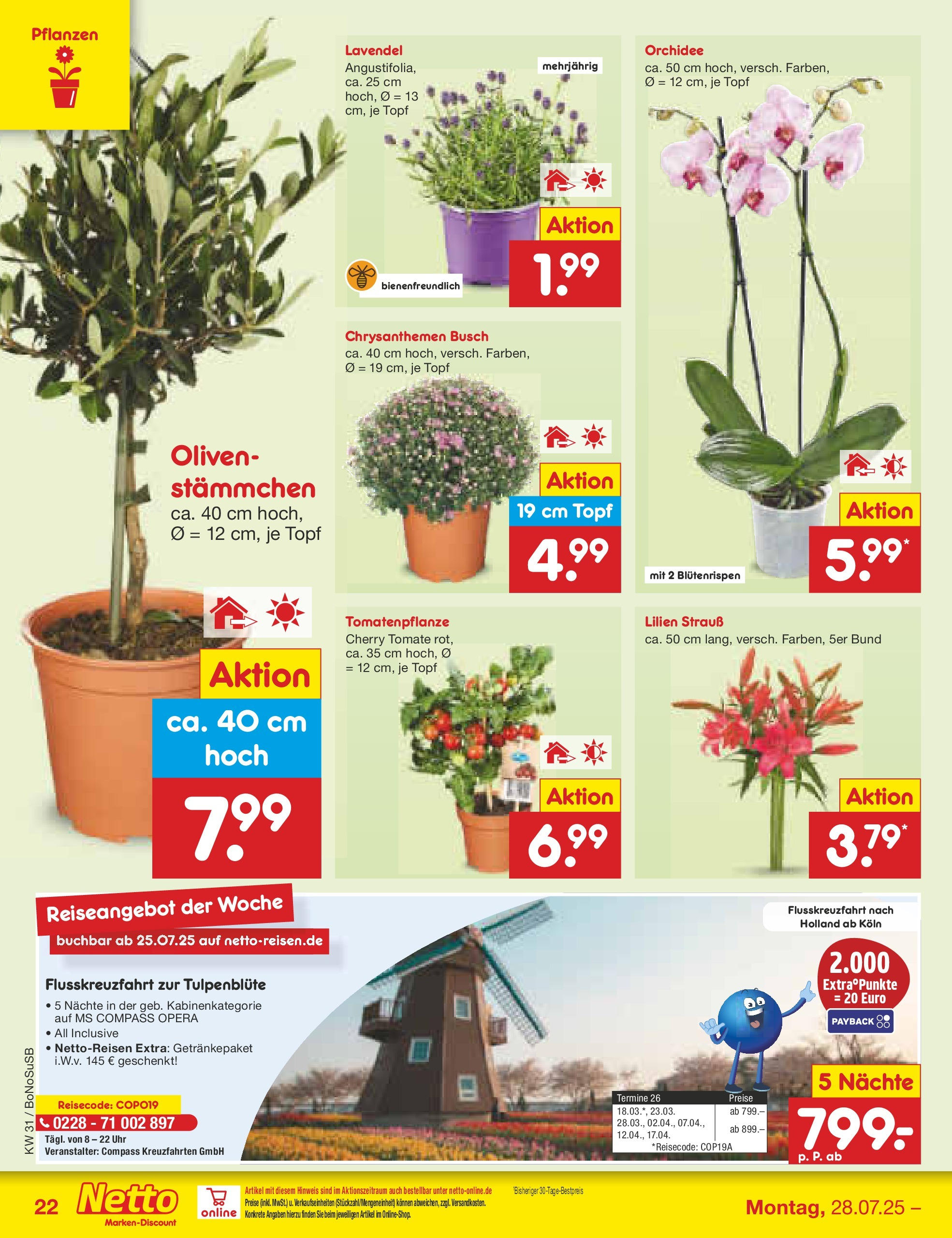 Netto Marken-Discount prospekt Herne (ab 28.07.2025) » Angebote | Seite: 35 | Produkte: Orchidee, Lavendel, Uhr Netto Marken-Discount prospekt Herne (ab 28.07.2025) » Angebote | Seite: 35 | Produkte: Orchidee, Lavendel, Uhr
