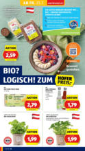 HOFER HOFER: Flugblatt - bis 31.07.2025