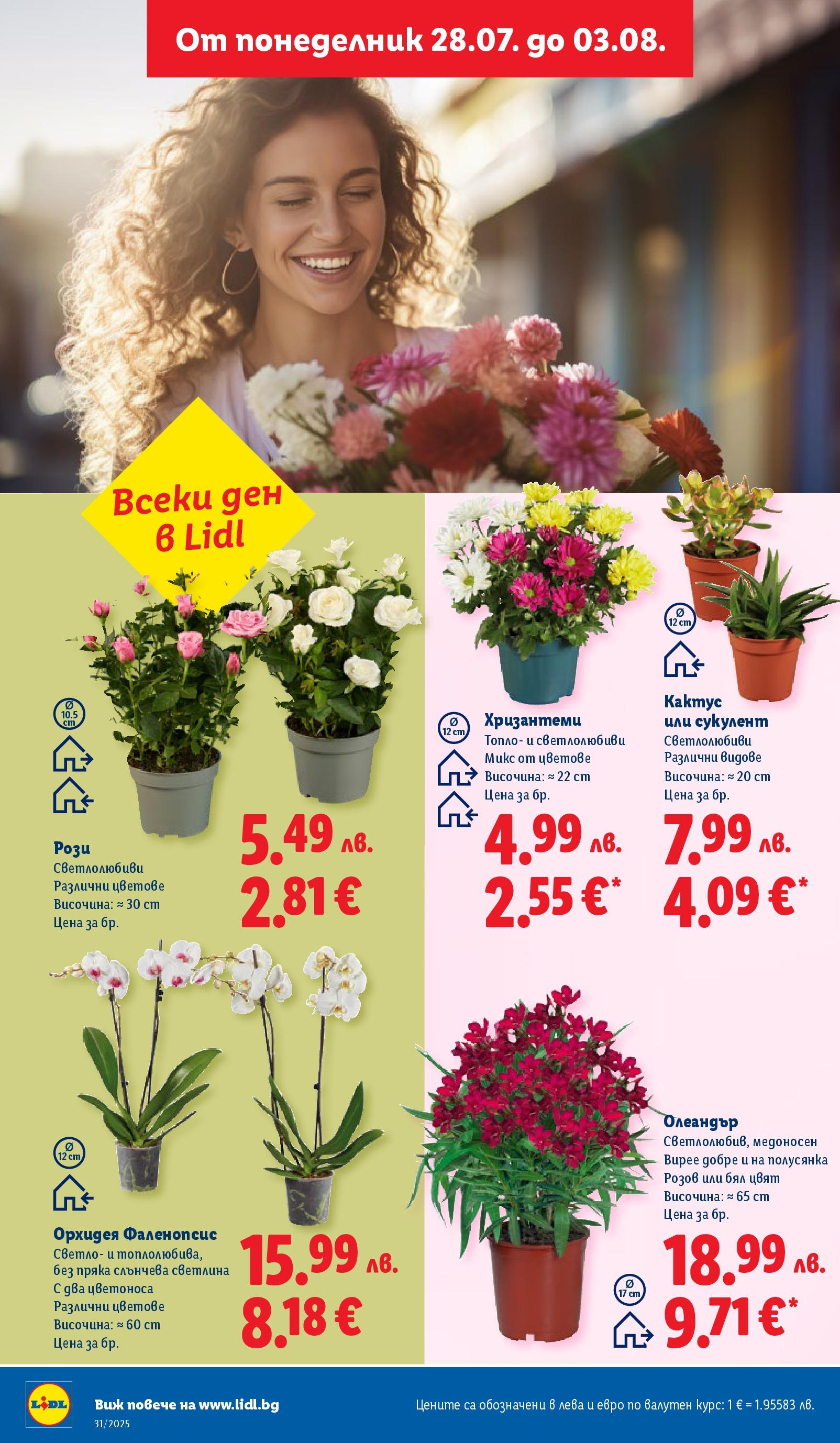 Лидл брошура от 28.07.2025 - LIDL broshura "Cедмична брошура на Лидл" | Страница: 46 | Продукти: Орхидея
