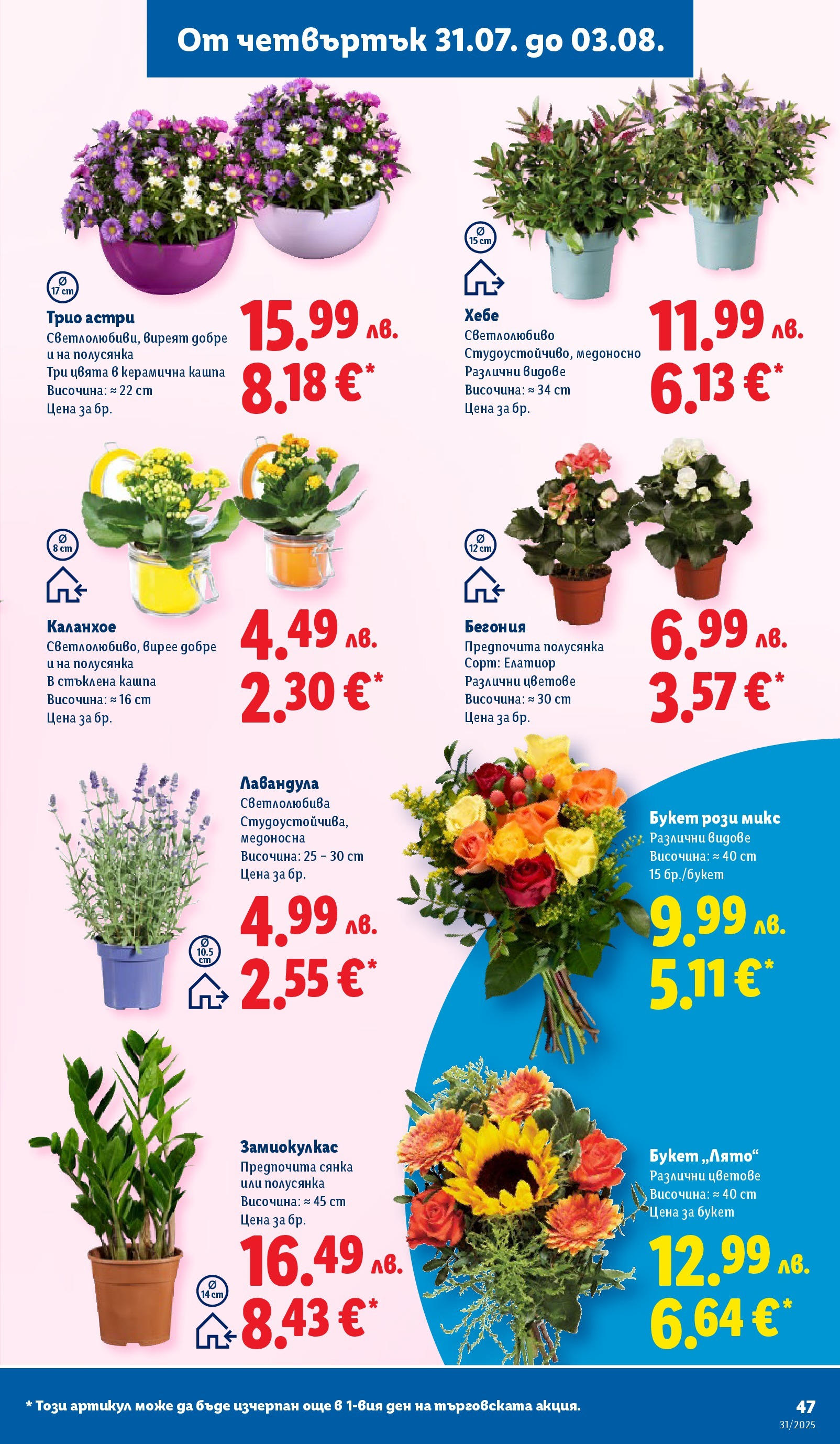 Лидл брошура от 28.07.2025 - LIDL broshura "Cедмична брошура на Лидл" | Страница: 47
