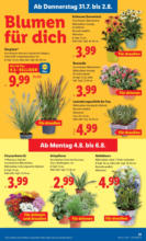 Lidl Lidl: Flugblatt in deiner Nähe - bis 02.08.2025