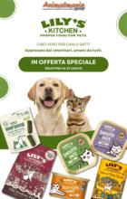 In offerta speciale