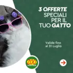 Zoo Service 3 offerte speciali per il tuo gatto - al 31.07.2025