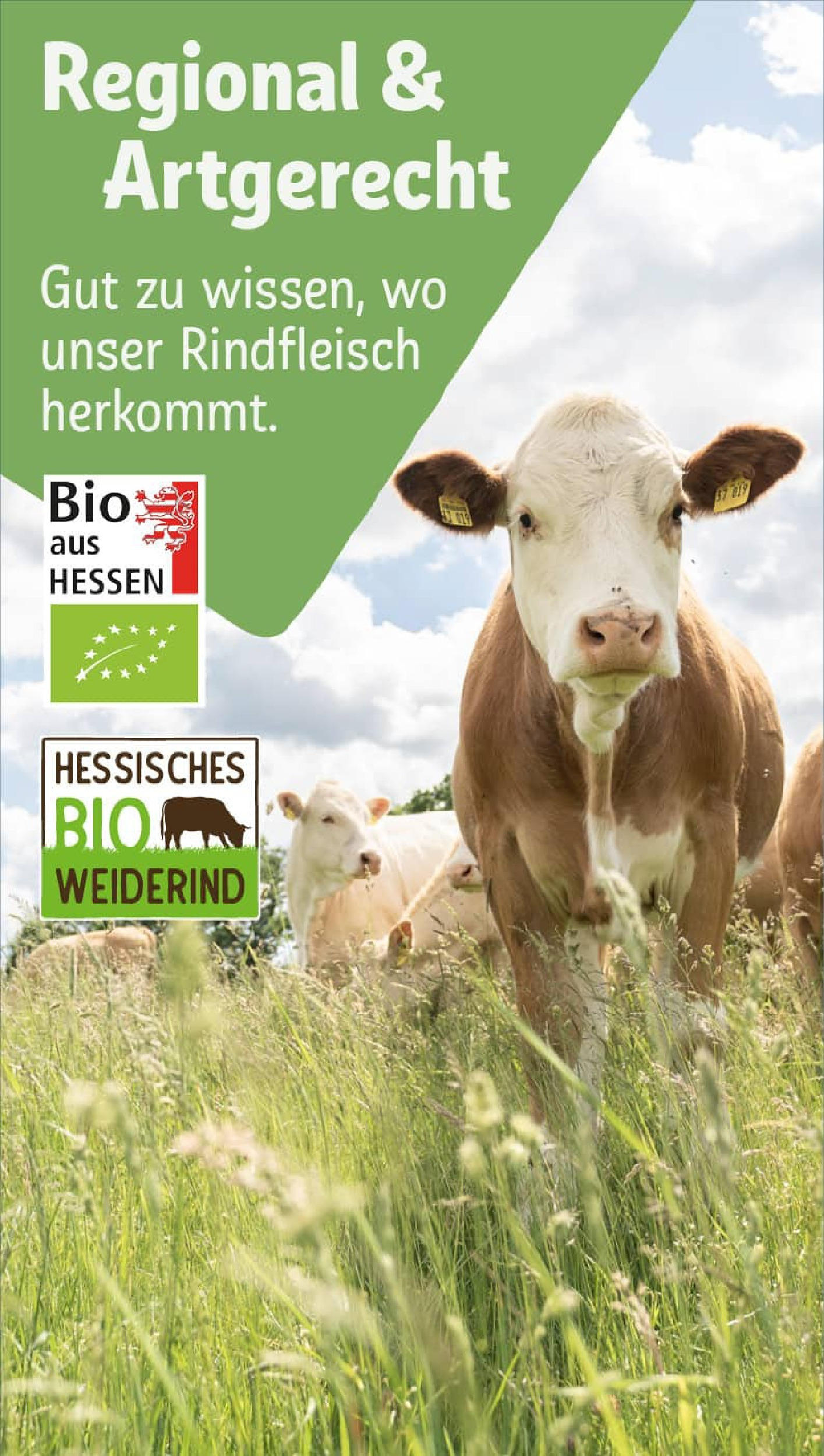 REWE Prospekt ab 27.07.2025 zum Blättern » Angebote | Seite: 14 | Produkte: Rindfleisch REWE Prospekt ab 27.07.2025 zum Blättern » Angebote | Seite: 14 | Produkte: Rindfleisch