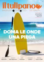 Il Tulipano Doma le onde senza fare una piega - al 20.08.2025