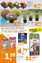 Globus Baumarkt: Wochenangebote