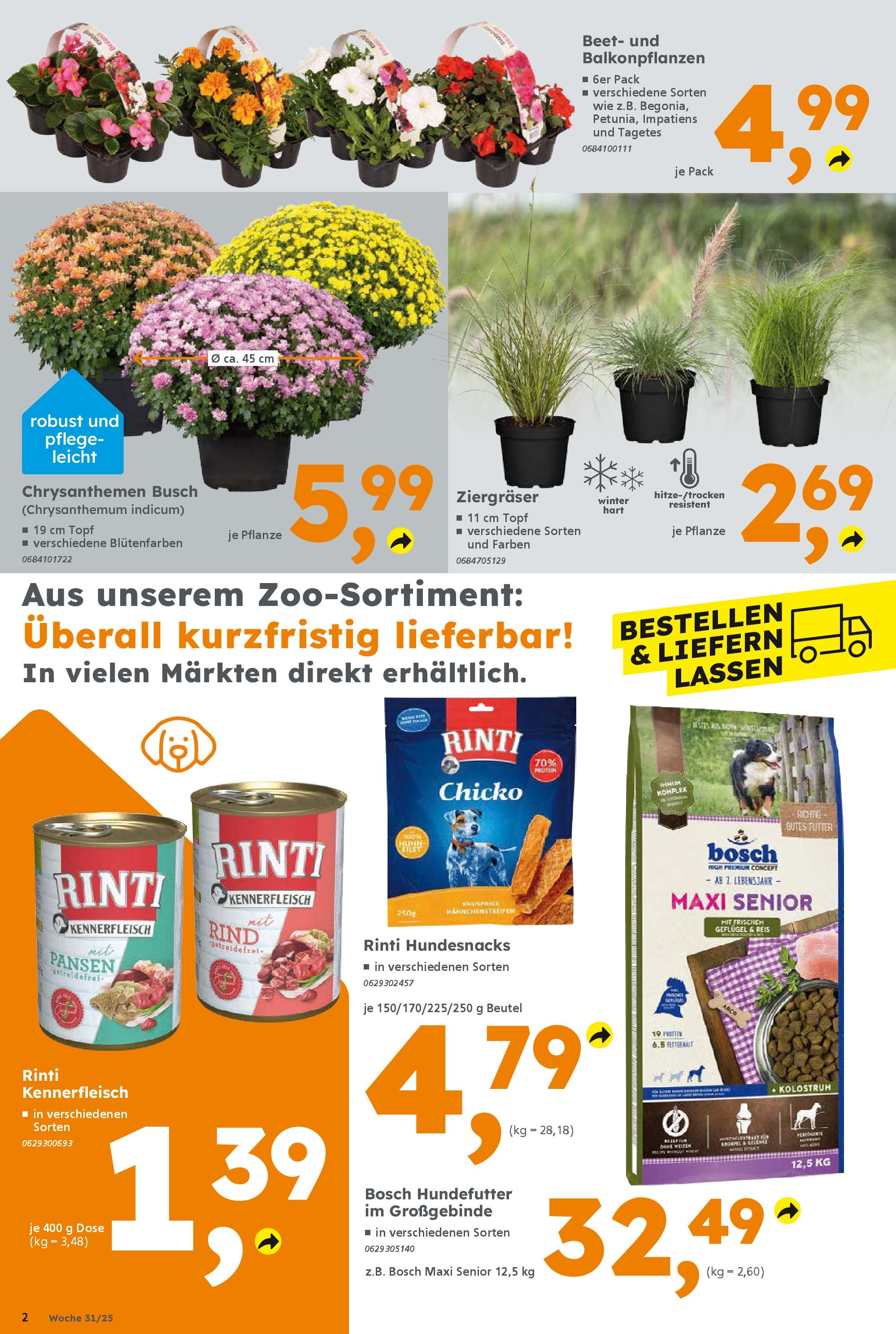 Globus Baumarkt prospekt Völklingen	 (ab 28.07.2025) zum Blättern | Seite: 2 | Produkte: Bosch, Reis