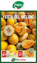 Festa del melone
