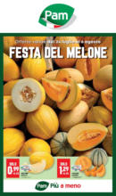 Pam Festa del melone - al 06.08.2025