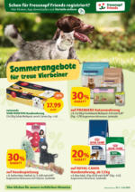 Fressnapf Fressnapf Angebote 31.07. bis 02.08. - ab 31.07.2025