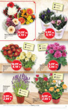 Kaufland хипермаркет Купи повече, спести с повече с XXL оферти в Kaufland с валидност до 03.08.2025 - до 03-08-25