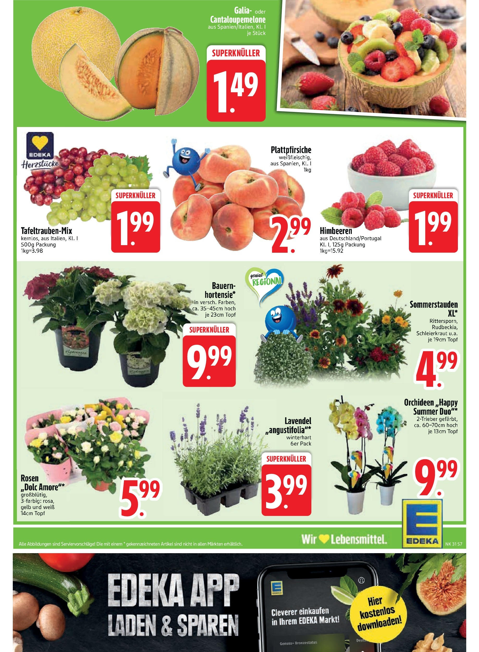 Edeka prospekt Schliersee	 (ab 28.07.2025) » Angebote Online | Seite: 9 | Produkte: Himbeeren, Lavendel