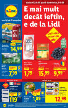 Catalog Lidl până în data de 03.08.2025