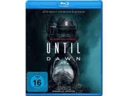 Until Down [Blu-ray]