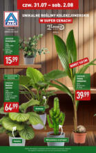 Aldi Kwiaty ważne do 2.08 Aldi – do 02.08.2025