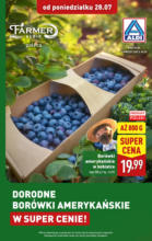 Aldi borówki ważne do 02.08 Aldi – do 02.08.2025