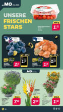 Netto APS : Wochenangebote