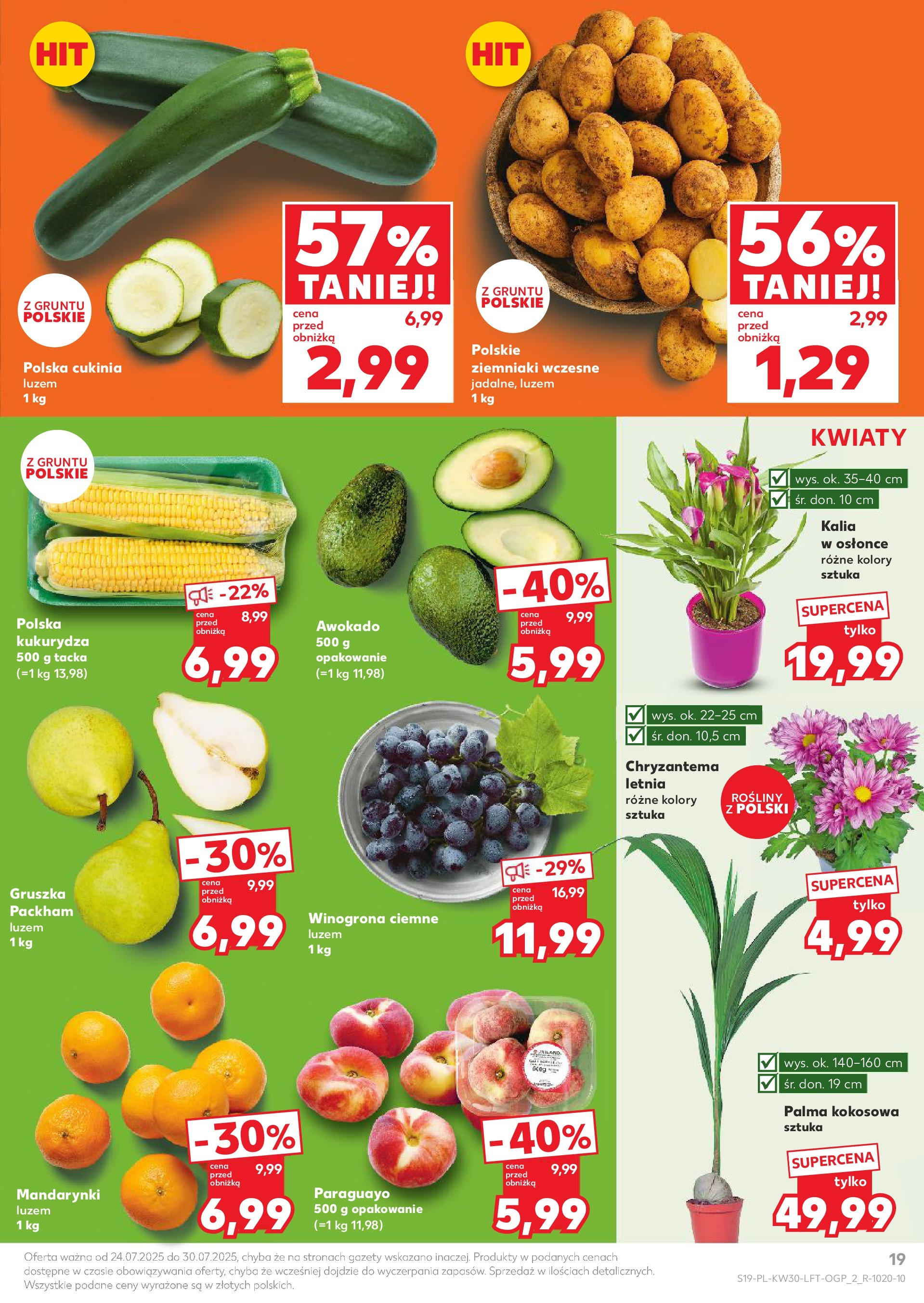 Kaufland gazetka (24.07.2025) - od jutra | Strona: 19 | Produkty: Kapusta, Piersi, Boczek wieprzowy, Boczek Kaufland gazetka od 24.07.2025 - od jutra PDF | Strona: 19 | Produkty: Kapusta, Piersi, Boczek wieprzowy, Boczek