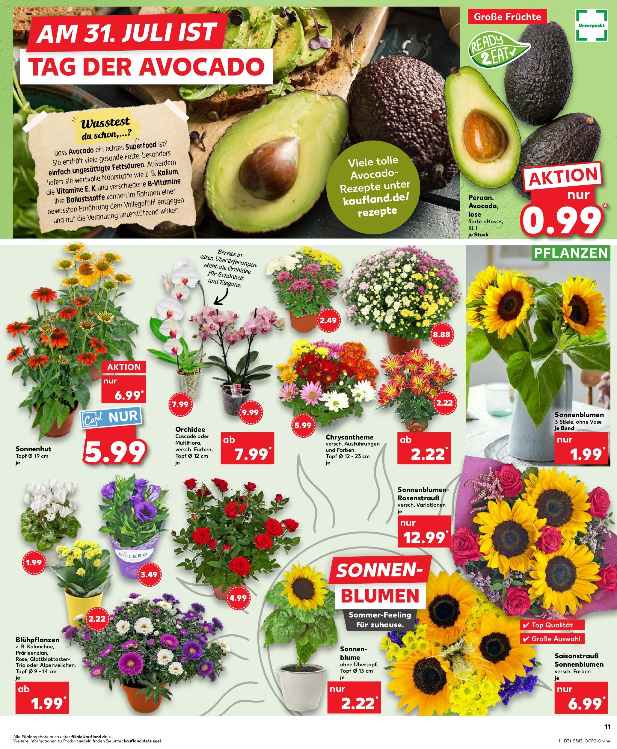 Prospekt Kaufland ab 31.07.2025 » Angebote und Werbung Online | Seite: 11 | Produkte: Top, Orchidee, Blumen, Vase Prospekt Kaufland ab 31.07.2025 » Angebote Online zum Blättern | Seite: 11 | Produkte: Top, Orchidee, Blumen, Vase