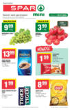 Nowe oferty do odkrycia