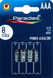 Paradies Batterien Power Micro AAA