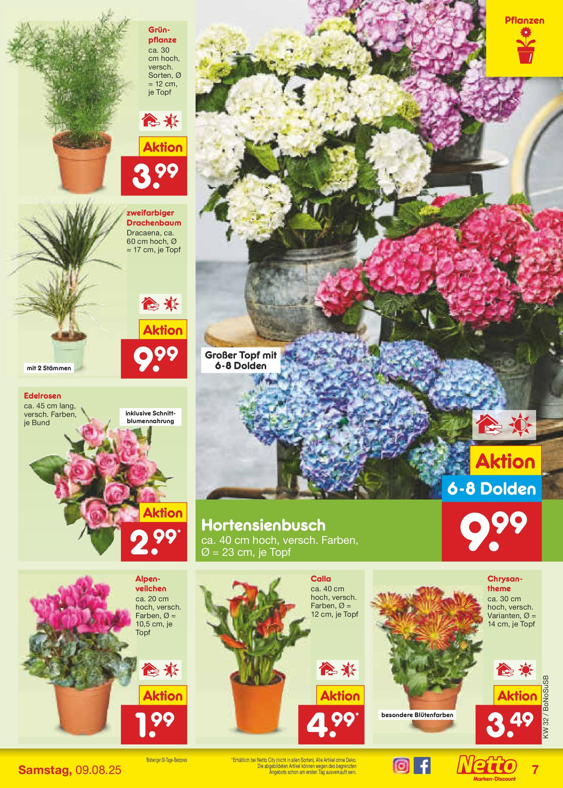 Netto Marken-Discount prospekt Stadtlohn (ab 04.08.2025) » Angebote | Seite: 9 Netto Marken-Discount prospekt Stadtlohn (ab 04.08.2025) » Angebote | Seite: 9