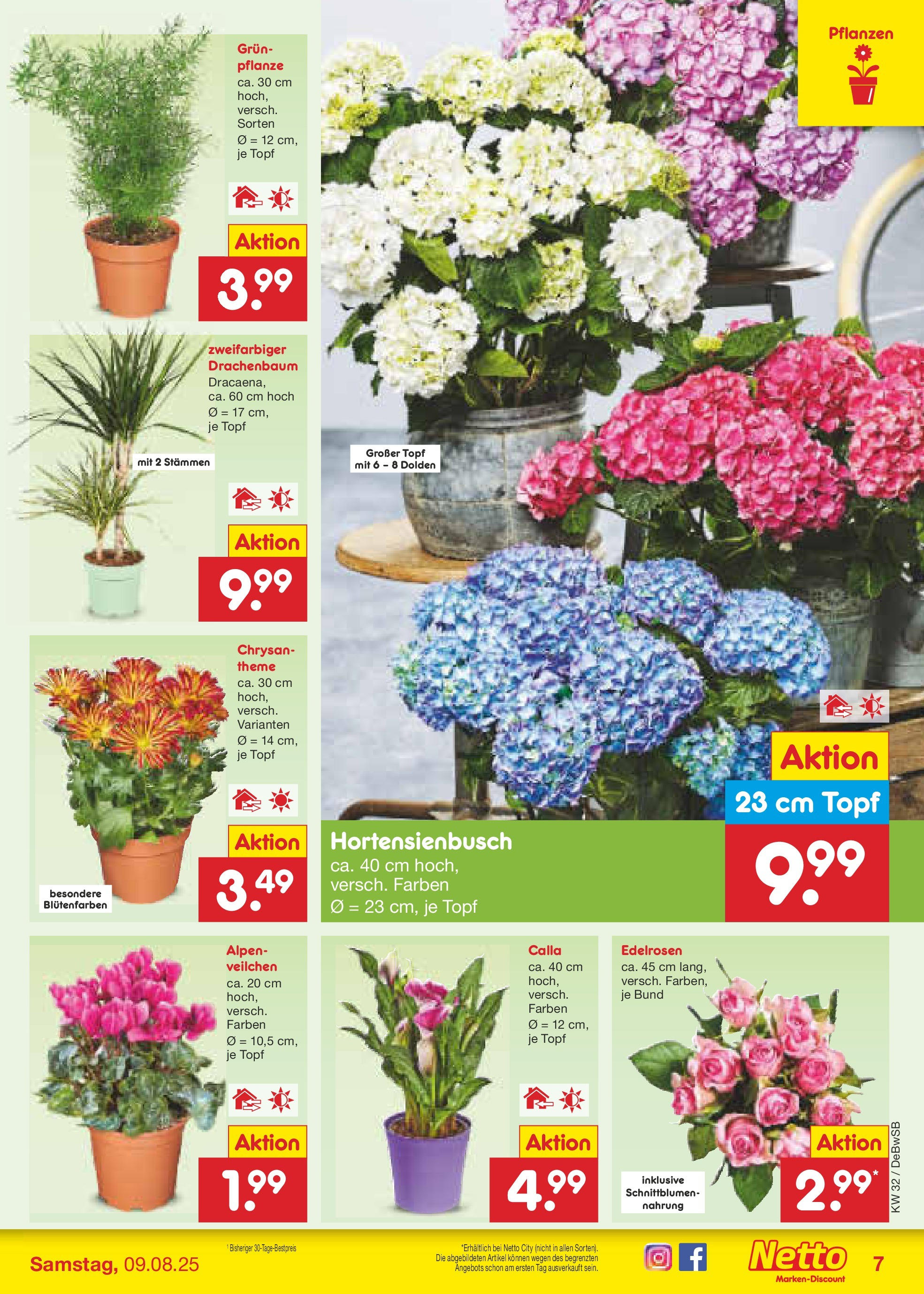 Netto Marken-Discount prospekt Waiblingen-Bittenfeld (ab 04.08.2025) » Angebote | Seite: 9 Netto Marken-Discount prospekt Waiblingen-Bittenfeld (ab 04.08.2025) » Angebote | Seite: 9