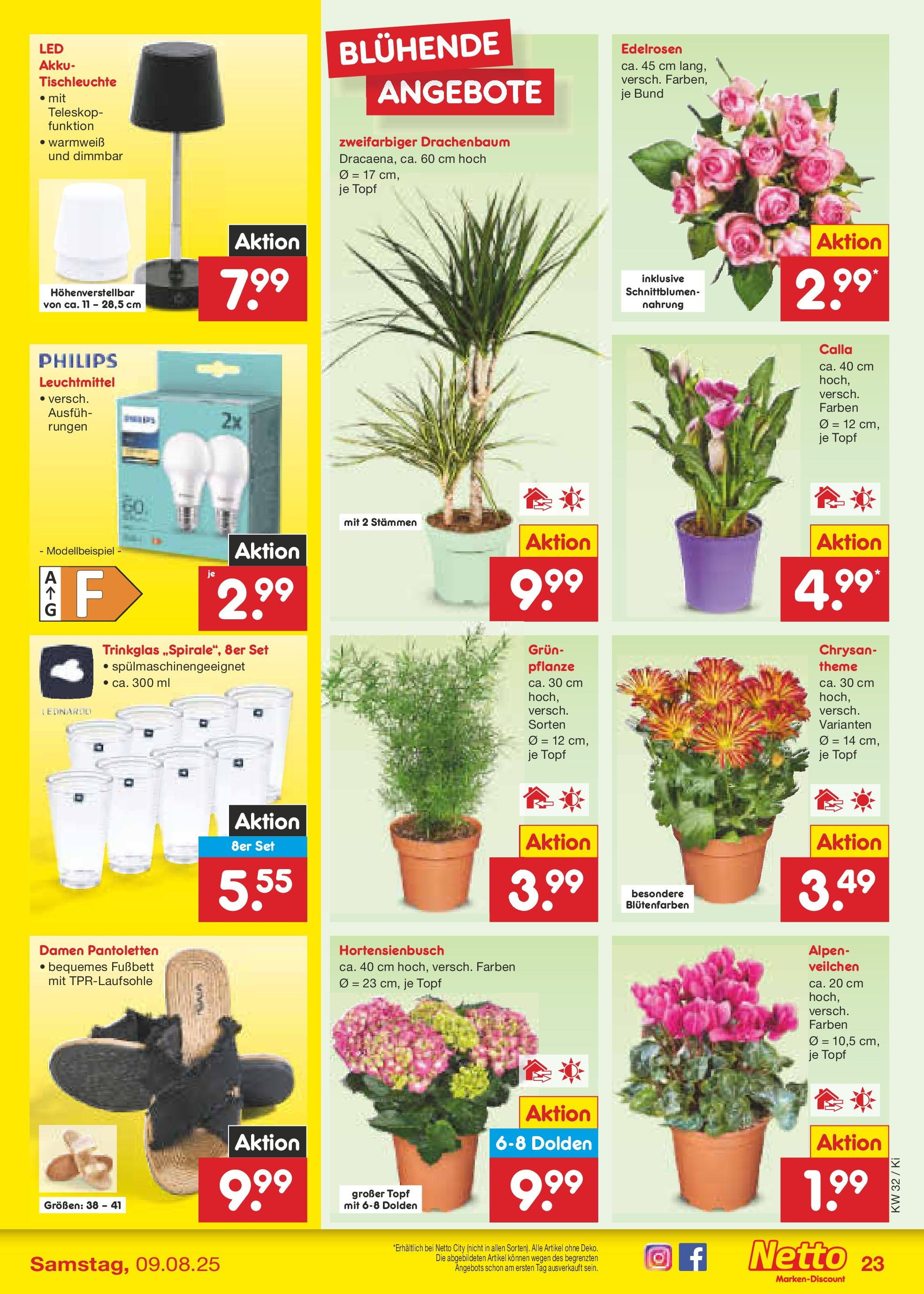 Netto Marken-Discount prospekt Mistelbach (ab 04.08.2025) » Angebote | Seite: 39 | Produkte: Philips Netto Marken-Discount prospekt Mistelbach (ab 04.08.2025) » Angebote | Seite: 39 | Produkte: Philips