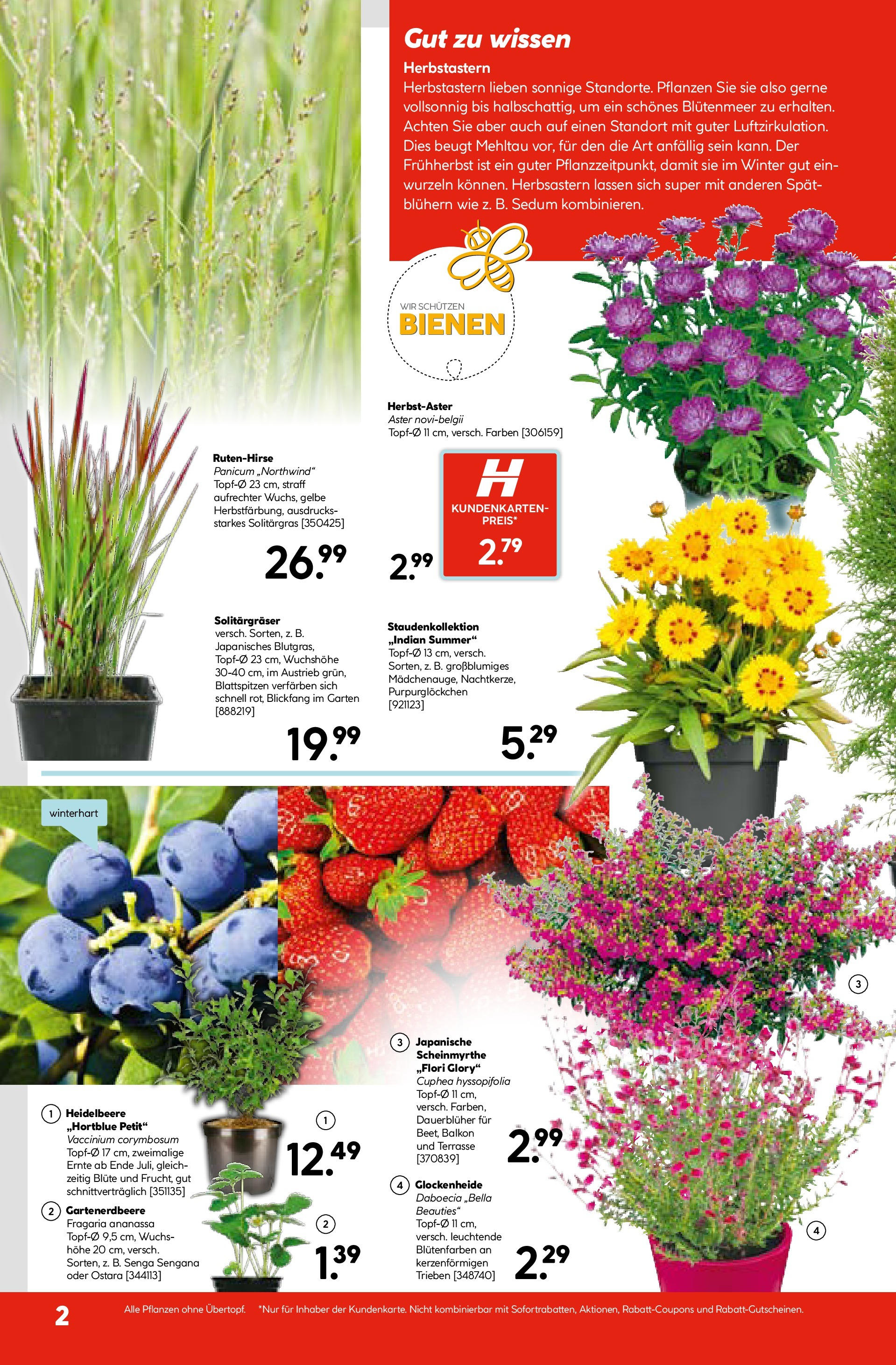 HELLWEG Raaba-Grambach (07.08.2025) || Aktuelle Angebote | Seite: 2 HELLWEG Raaba-Grambach von 07.08.2025 - Aktuelle Angebote | Seite: 2