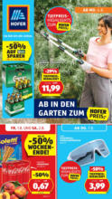 HOFER: Flugblatt