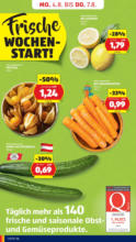 HOFER HOFER: Flugblatt - ab 01.08.2025