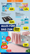 HOFER HOFER: Flugblatt - ab 01.08.2025