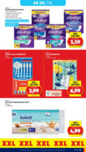 HOFER HOFER: Flugblatt - ab 01.08.2025