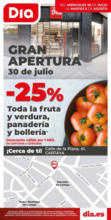 Gran apertura Dia del 30/07 al 05/08