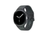 Samsung Galaxy Watch8 40mm BT, Graphite; Smartwatch