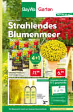 BayWa: Wochenangebote