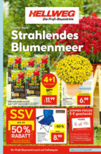 Hellweg: Wochenangebote