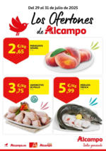 Alcampo Del 29 al 31 de julio de 2025 - hasta el 31.07.2025